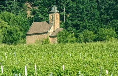 Ferienhaus Rustika - Foto 56