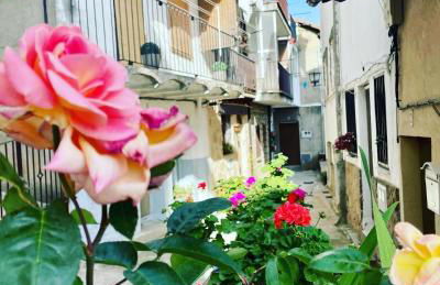 Casa Árbol - Foto 72