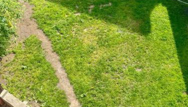 Apartament u Tereni - Foto 5, Garden view