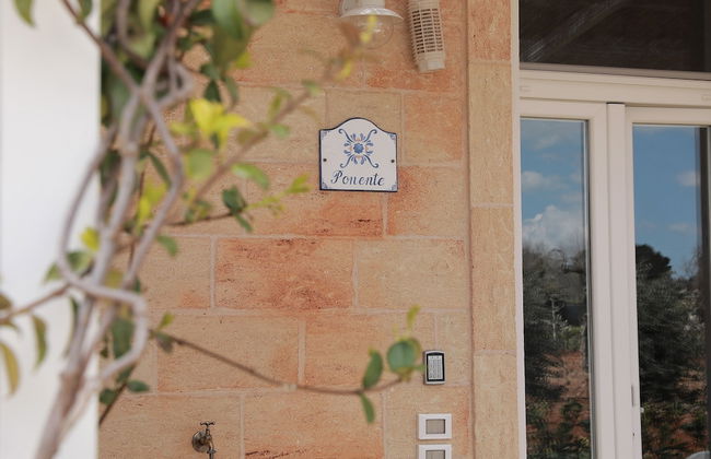 Tenuta Cesarina - Photo 11