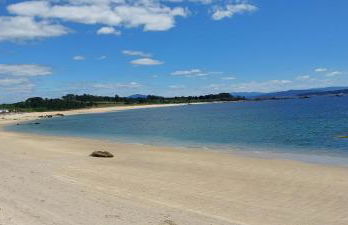 4 Palmeiras - Foto 24