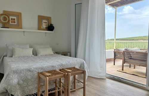 Casa Caraza. Un olivar con vistas al castillo de Juego de Tronos - Foto 11