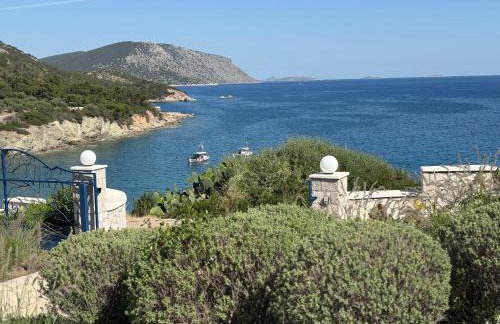Livealot Villa - Foto 30