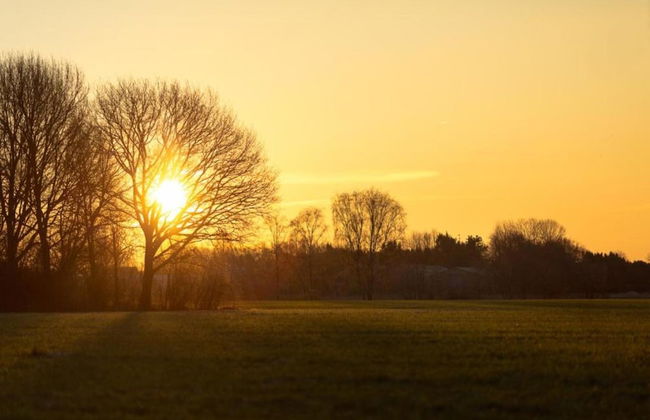 Tiny House in Brabant With Cozy Terrace - Photo 36