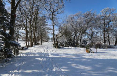 Erlenhof-Steinau-Fachwerkhaus-mit-Reetdach - Foto 31