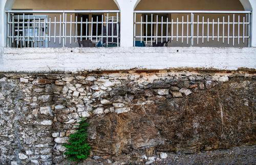 Grandma's House Mani - Foto 38