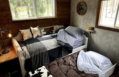 Quaint Rustic Cabin Surrounded by Nature in Black Forest, Colorado - Foto 6