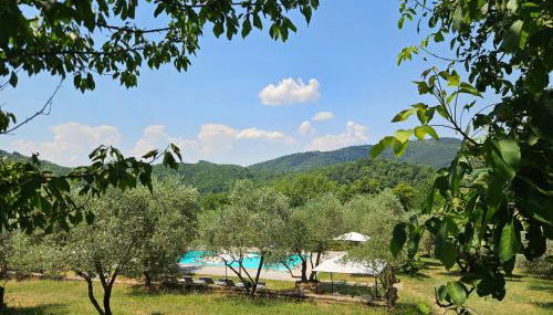 Podere le Muricce - Foto 4, Garden