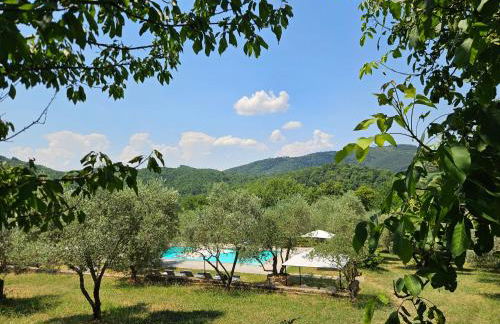 Podere le Muricce - Foto 4