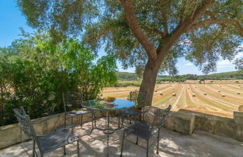 Ses Cases Velles de Son Baró - Foto 9