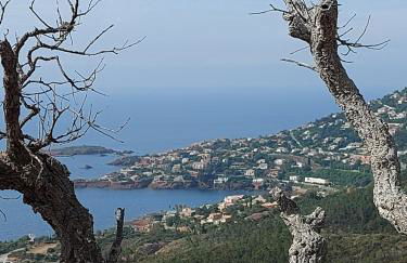 Vue exceptionnelle sur la mer et le Cap Estérel - Foto 49