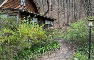 Woodhaven, darling romantic cabin, ATV trails, Mena, AR - Foto 1