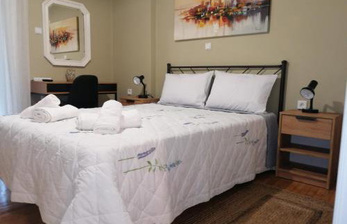 Central Home - Foto 16