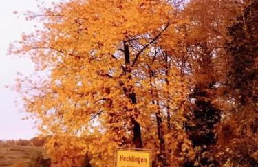 Apartment Kapellennest EuropaPark in ca 15 min erreichbar - Foto 43