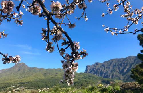 Casita La Rosa - Foto 63