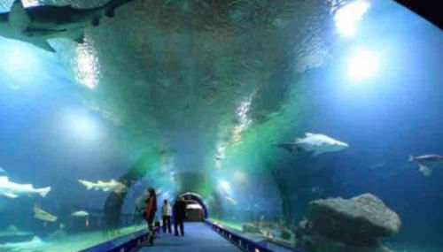 Apto ruzafa patio center science oceanografic - Photo 4