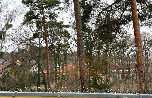 Ferienwohnung im Heidepark - Foto 33