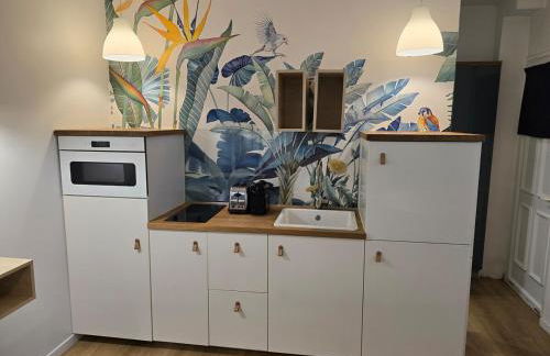 340 rue Saint-Jacques Paris V - Studio - Foto 4