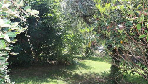 Tyn Y Coed Farm House - Foto 5, Garden