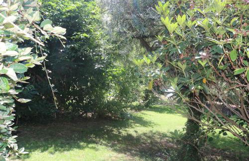 Tyn Y Coed Farm House - Foto 5