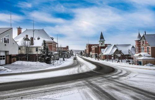 Dog Friendly Private Cabin w Hot Tub Leadville-A - Foto 48