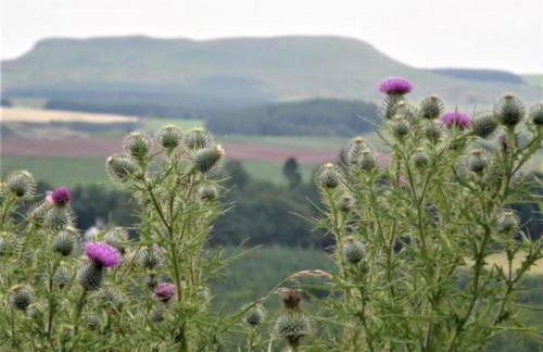 1 Bed in Lockerbie 93110 - Foto 19