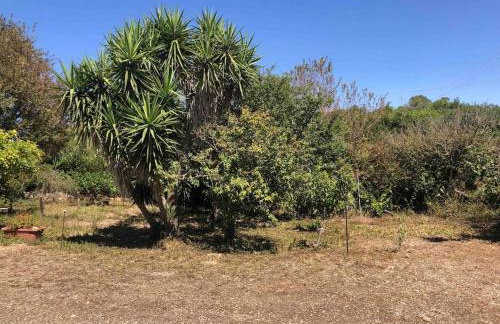 Casa Indipendente I DUE MARI - Foto 26