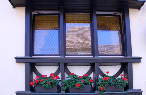 Ferienwohnung „Brot & Wein” - Foto 4