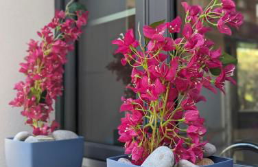 I colori della Sicilia - Foto 55