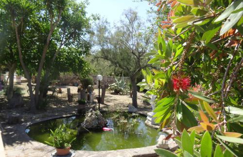 Villa dei Sogni Gallipoli -Uso Esclusivo della Villa con Piscina Privata & Giardino Exclusive Villa with Private Pool nel Salento - Foto 80