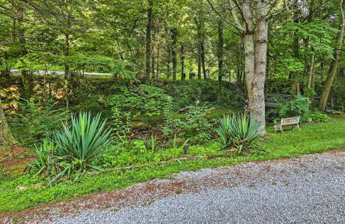 Outdoor Explorers! Roan Mtn Haven with On-Site Creek - Foto 26