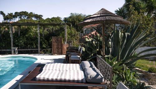 João Jungle - Foto 3