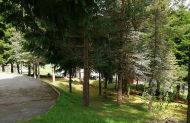 Waldhaus, Ski- und Wanderhütte - Foto 12