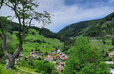 Ferienwohnung-Einklang im schönen Südschwarzwald - Foto 21