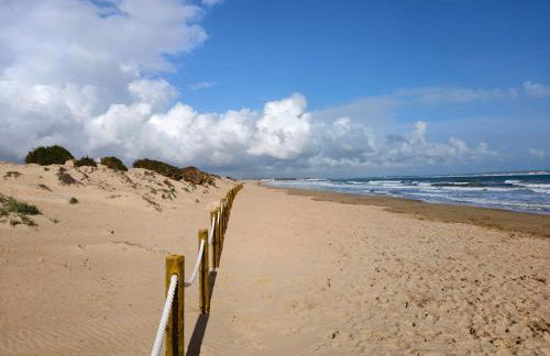 Casa Vikingo - Foto 19