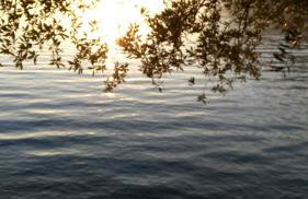 Appartamento Bella Isola - Foto 16