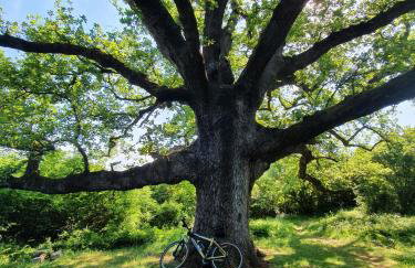 Villa Alara - charming villa with heated swimming pool - Foto 59