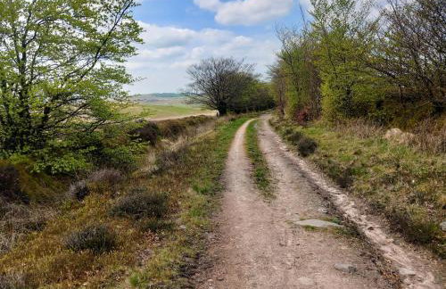 Sheepfold Cottage Dulverton - Foto 29
