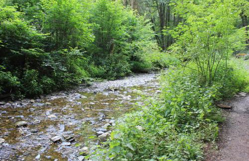 Ferienhaus Däschinger - Foto 73