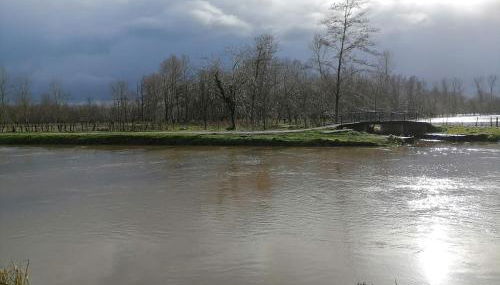Le logis du heron - Foto 5