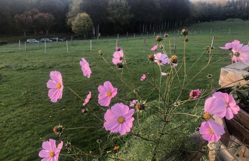 Holiday Home Near Lake and Leisure in Clos du Bannet - Foto 67