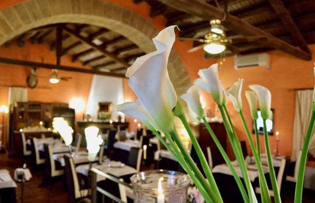 Vecchia Masseria - Foto 25