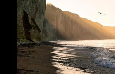 Le Chant des Bénédictins - Foto 60
