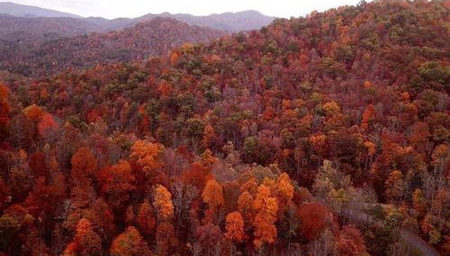 The Sky Breeze - Foto 5