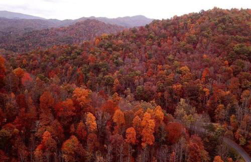 The Sky Breeze - Foto 5