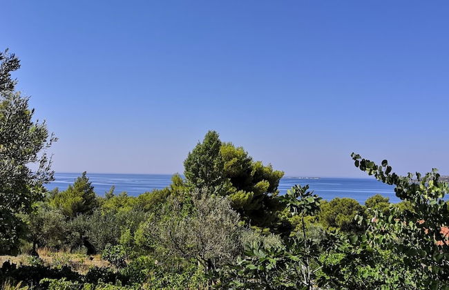 Seapine Studios - Foto 31