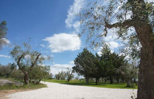 Gli Ulivi di Gino - Foto 56