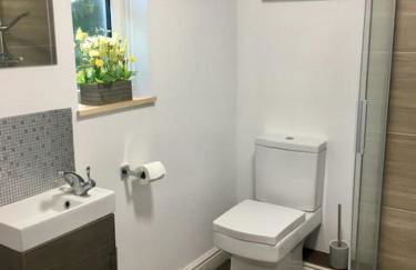 Daffodil House , West Wales - Foto 19