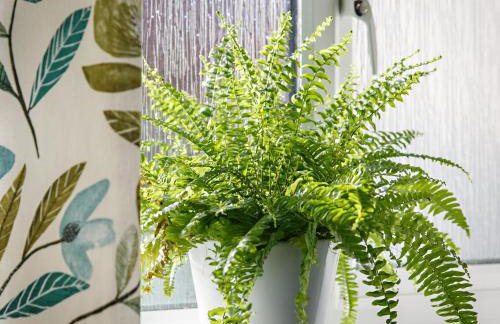 Chestnut Cottage - Foto 13