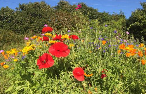 The Tack Room - Foto 16